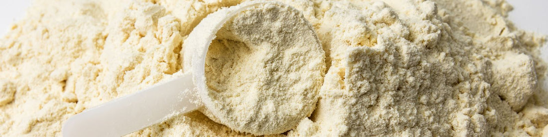 Close-up of plant-based protein powder with a scoop, representing scientific discussion on heavy metals and product safety.