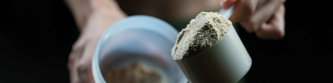 How Much Protein To Build Muscle?