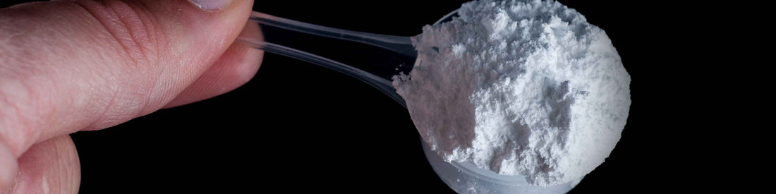Should I Take Creatine?