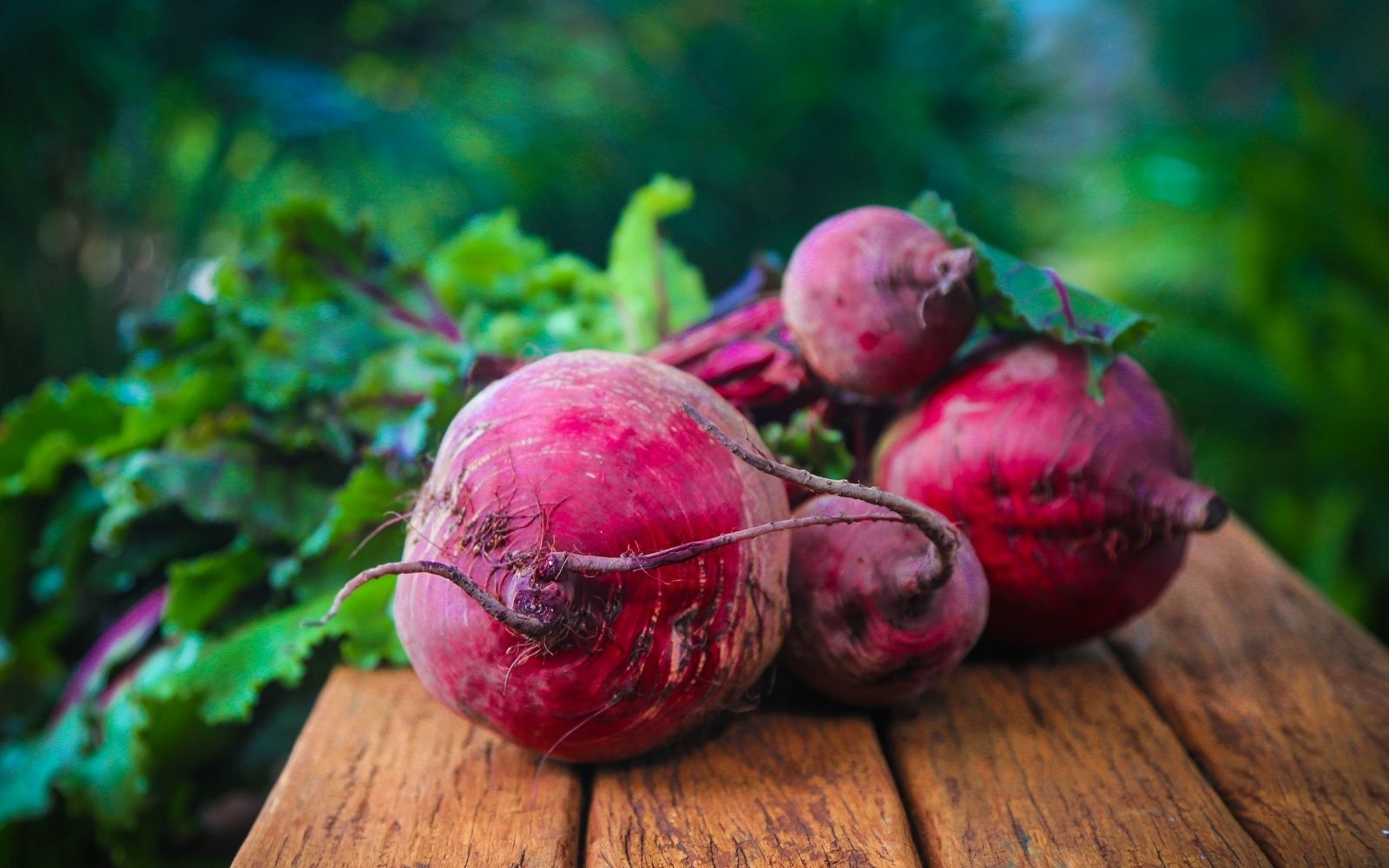 Beetroot 