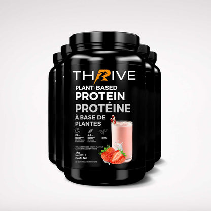 Thrive Plant-Based Protein strawberries and cream – Canadian-made vegan protein powder, five 1 kg tubs with 24 g protein per serving