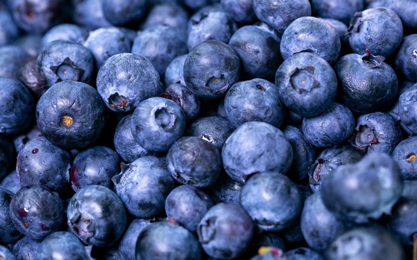 Blueberry