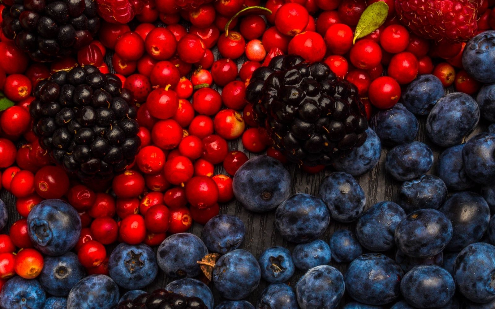 Resveratrol