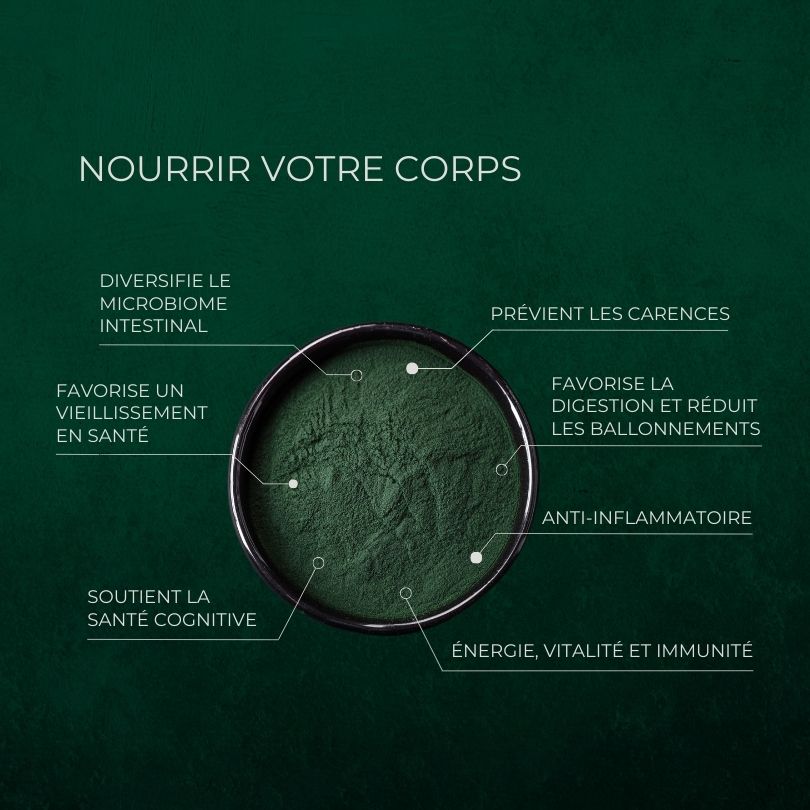 Poudre Ultimate Greens illustrant les bienfaits pour l’intestin, l’énergie, l’immunité, le vieillissement et la cognition.