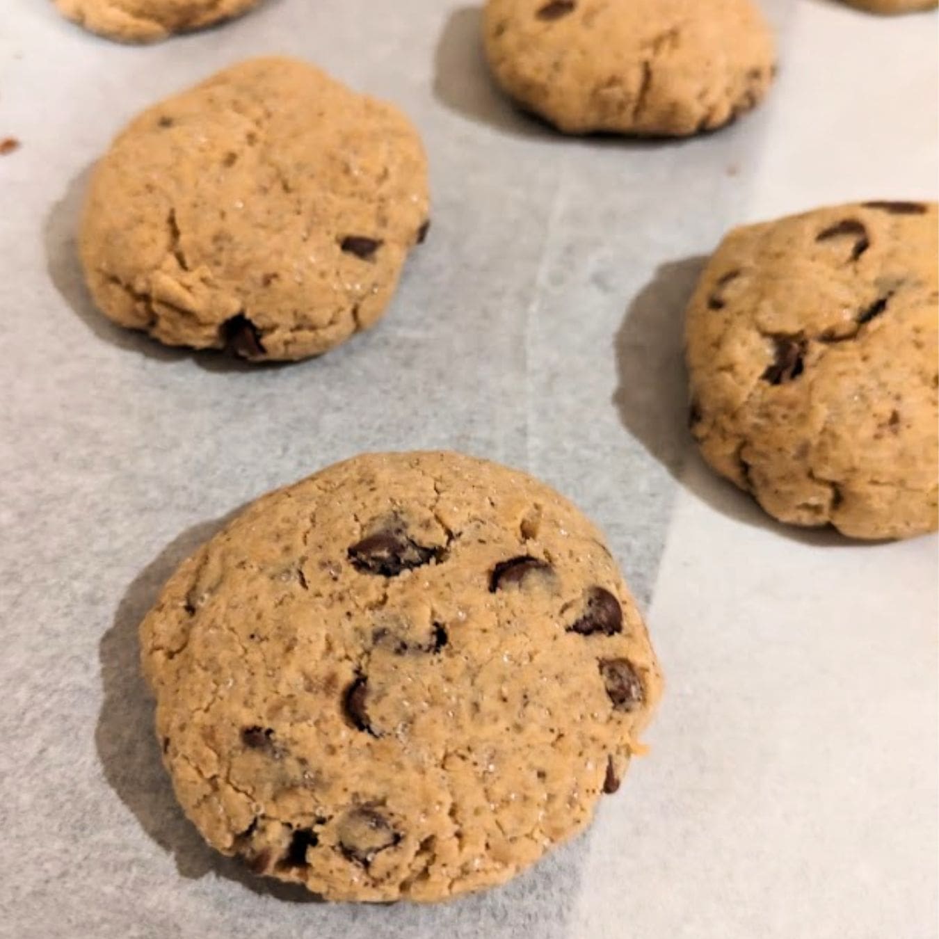 Chocolate Chip Protein Cookies
